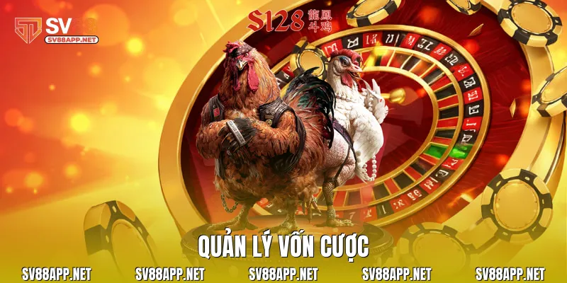 Quản lý vốn cược